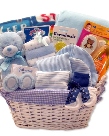 blue bear baby bath gift basket