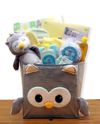 Little Hoot Owl Baby Gift Basket