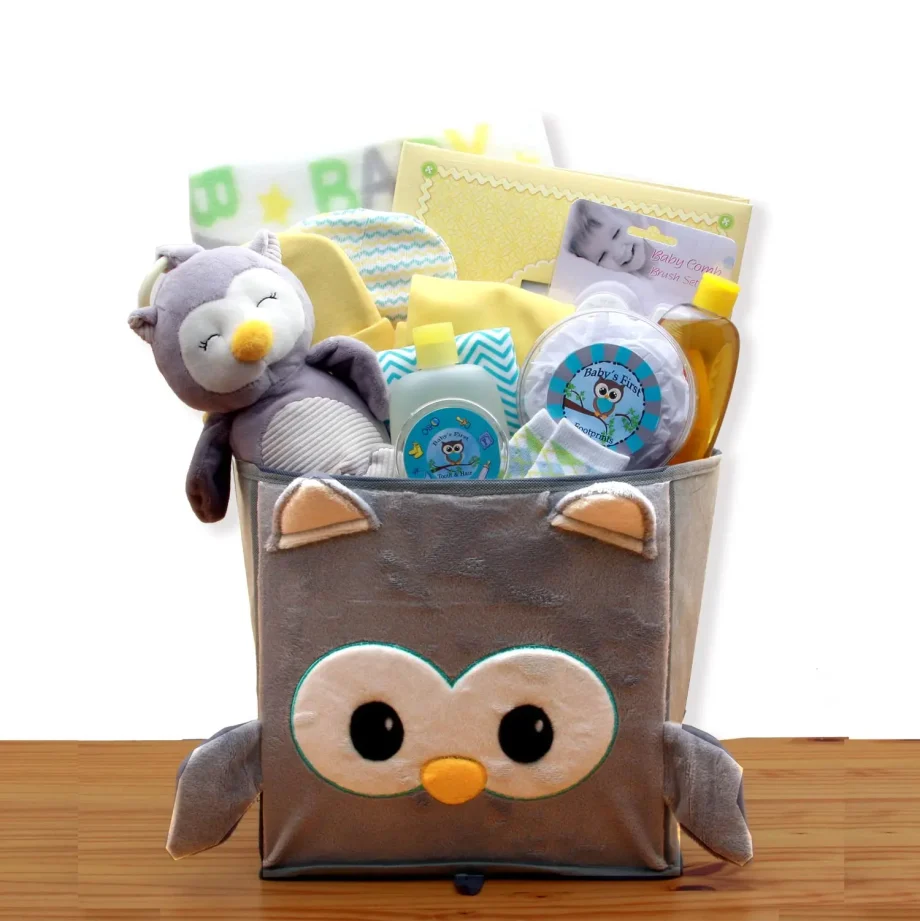 Little Hoot Owl Baby Gift Basket